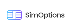 SimOptions