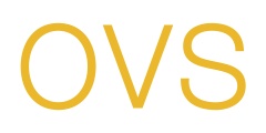 OVS