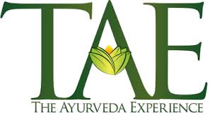The Ayurveda Experience