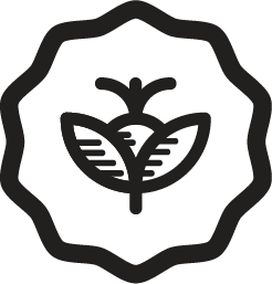 Sienna Naturals
