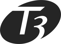 T3