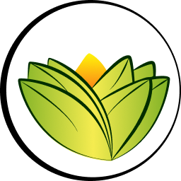 The Ayurveda Experience